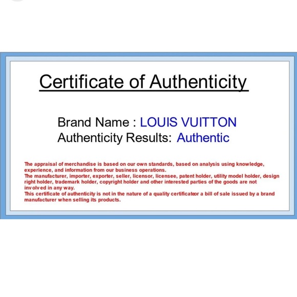 Louis Vuitton Multi Color Leather Goldtone Hardware - Picture 11 of 12